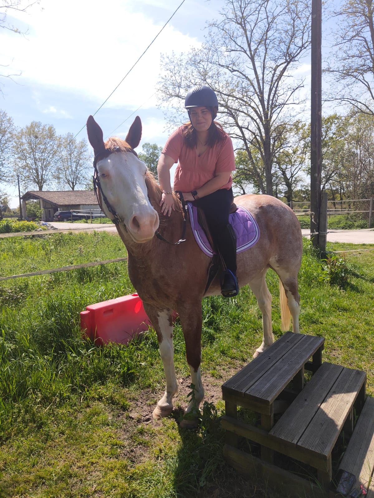 Juste cheval de médiation animale montée par celine bescher auto-entrepeneuse de la société osmose spécialisée en médiation animale