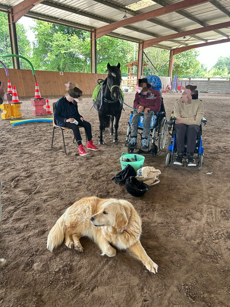 handicap portage équithérapie médiation équine