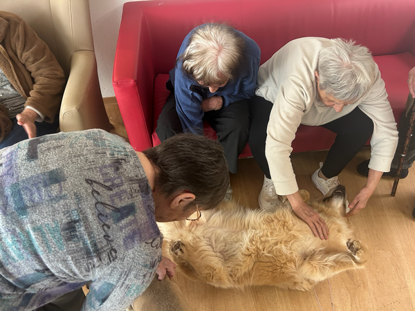 Séance collective de médiation animale en EHPAD, soutien thérapeutique et création de lien social.