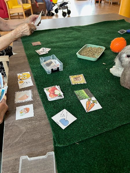 Séance collective de médiation animale en EHPAD, soutien thérapeutique et création de lien social.